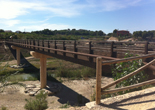 Imagen de Puente sobre el Ro Segura